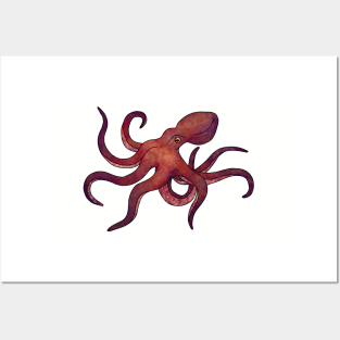 Octopus Posters and Art